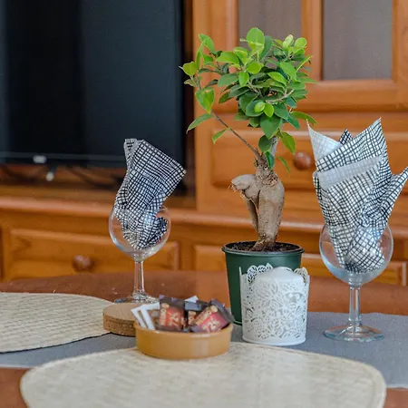 Sea View Paradise Palms Апартаменты Arico